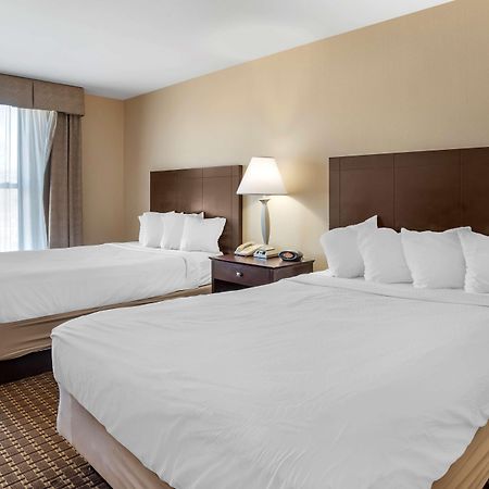 Best Western Plus Philadelphia Airport South - At Widener University Chester Ngoại thất bức ảnh