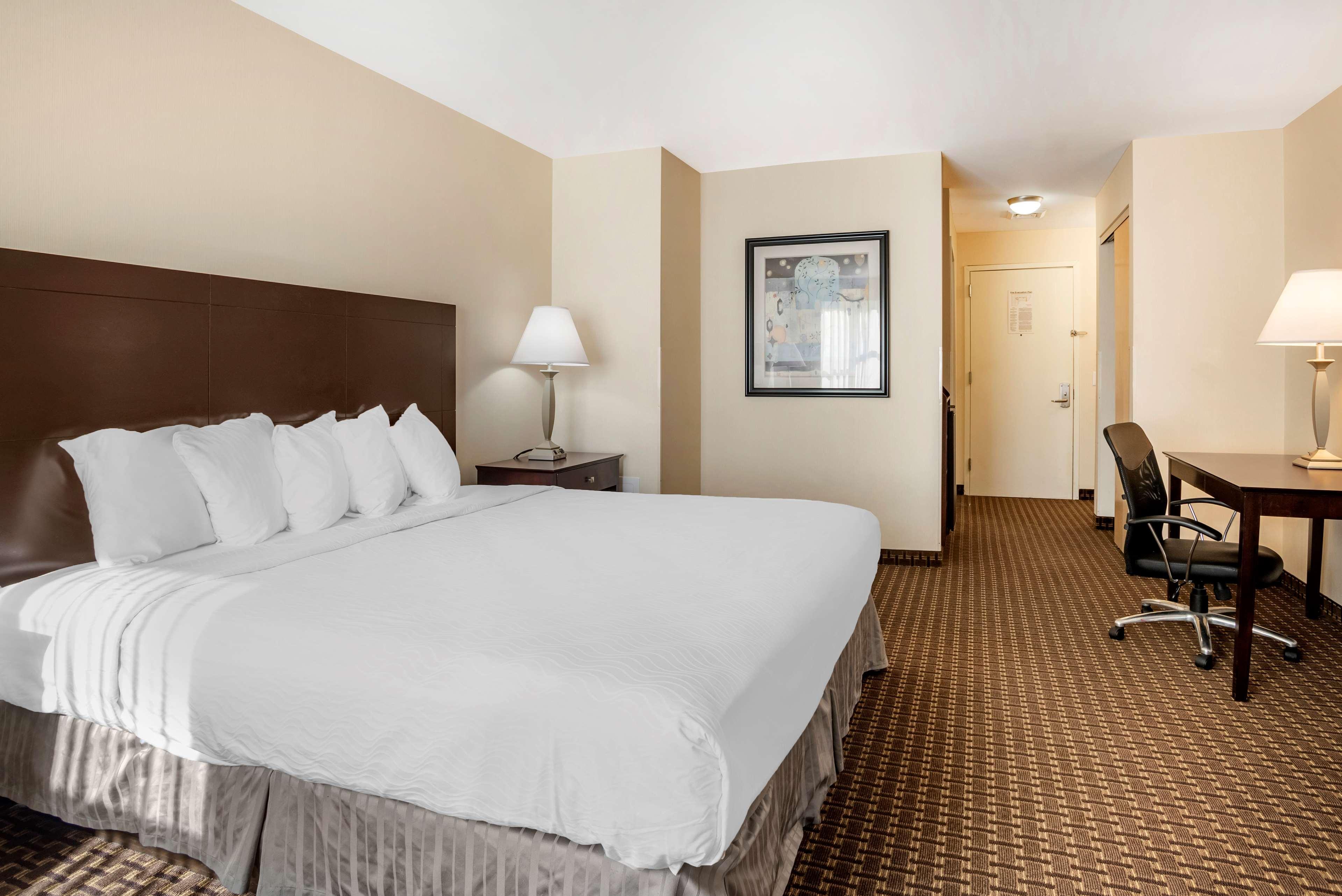 Best Western Plus Philadelphia Airport South - At Widener University Chester Ngoại thất bức ảnh