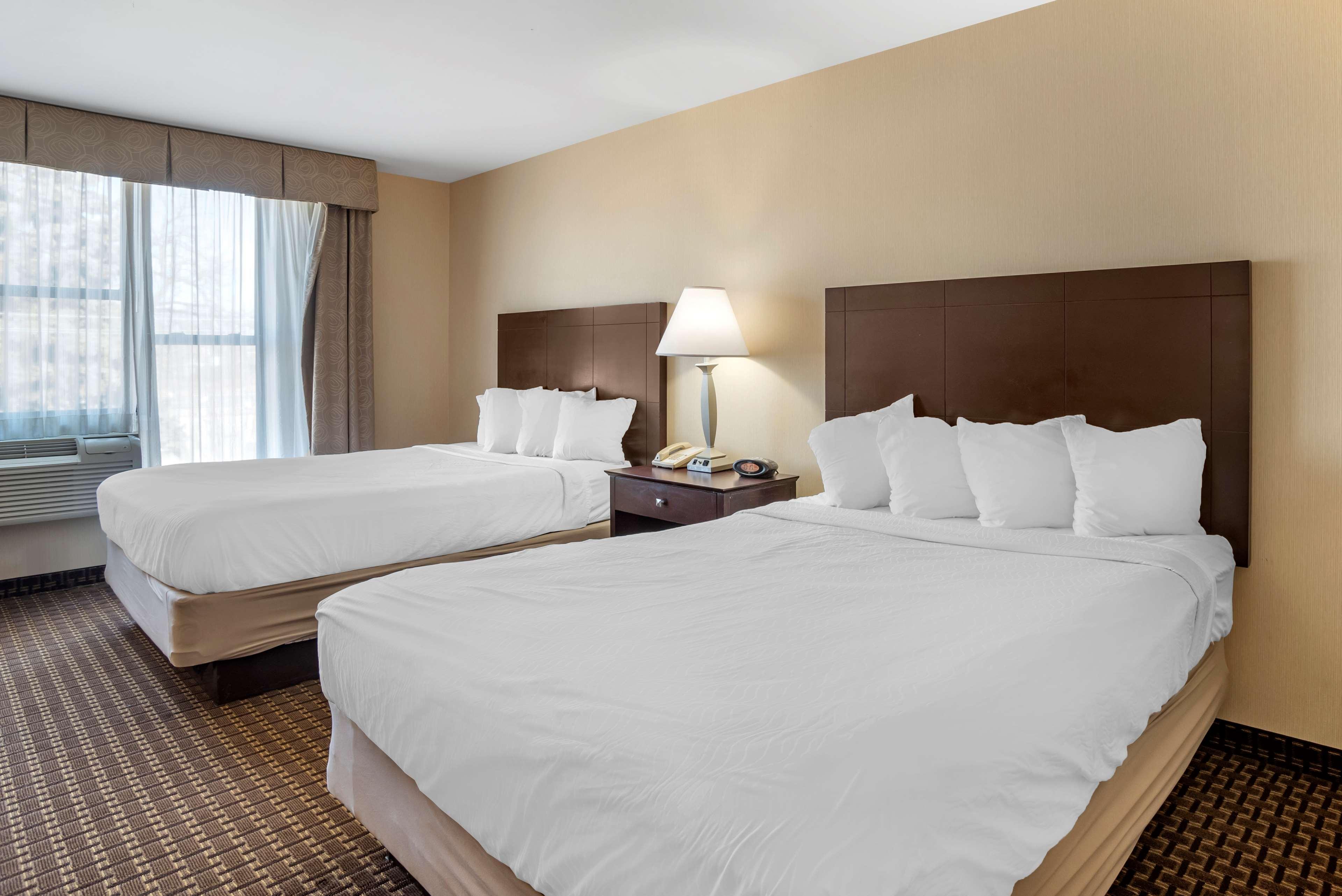 Best Western Plus Philadelphia Airport South - At Widener University Chester Ngoại thất bức ảnh