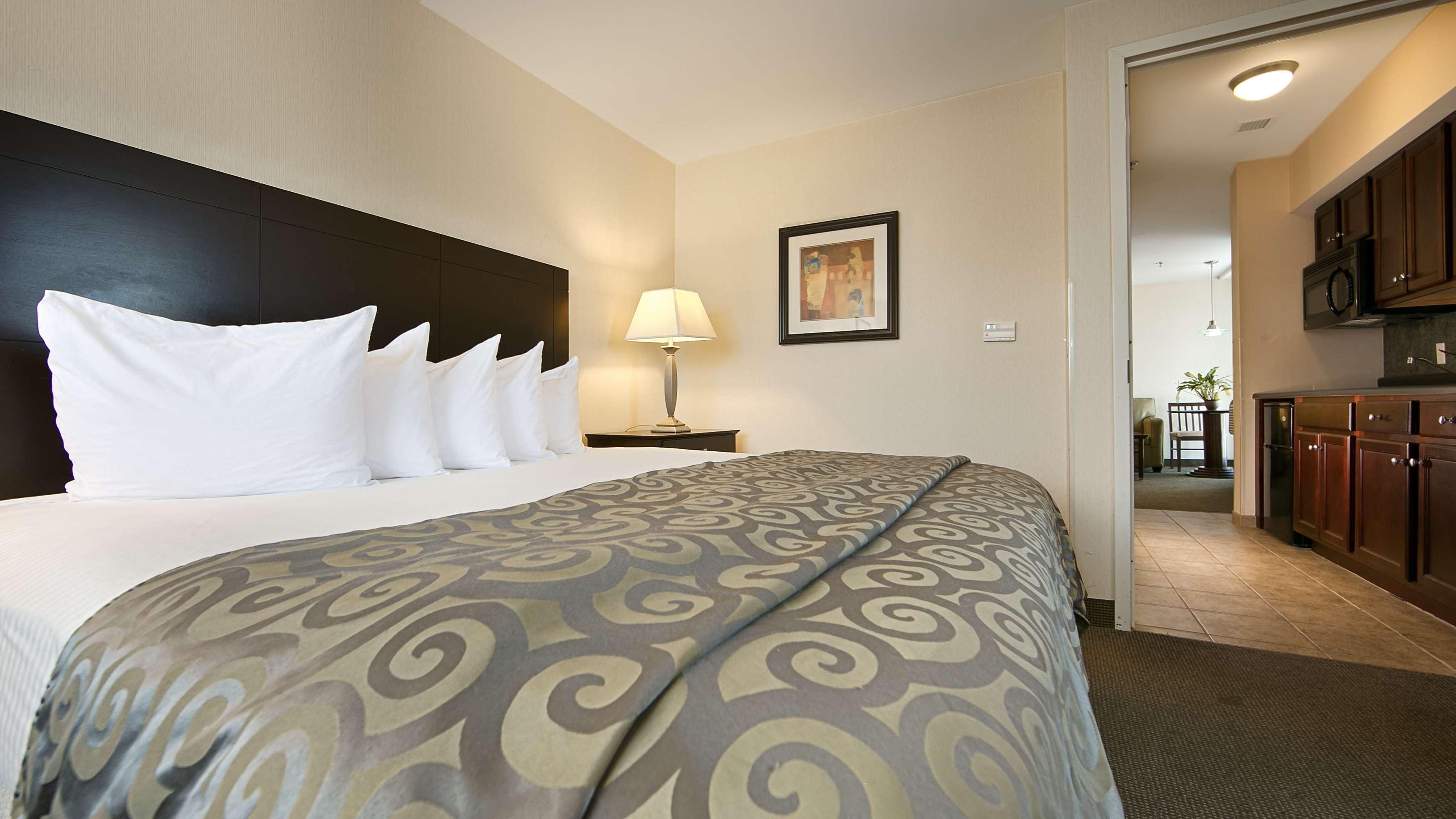 Best Western Plus Philadelphia Airport South - At Widener University Chester Ngoại thất bức ảnh